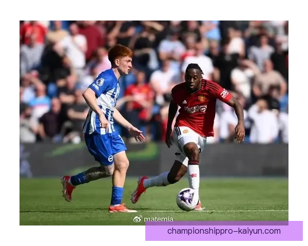 阿根廷队阵容变化分析：新面孔加入提升竞争力，表现值得关注